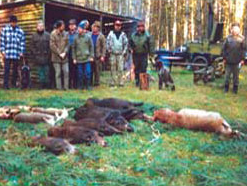 Die Jagd auf dem Bauernhof zum Tanger